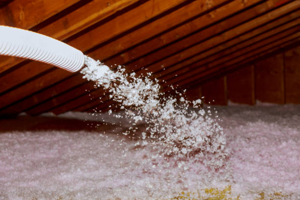 Best Insulation Repair Services  in Clinton, NC