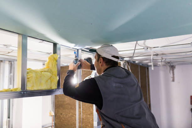 Best Insulation Replacement Services  in Clinton, NC