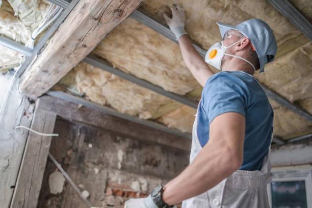 Best Insulation Removal  in Clinton, NC