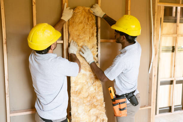 Best Insulation Contractors for Homes  in Clinton, NC