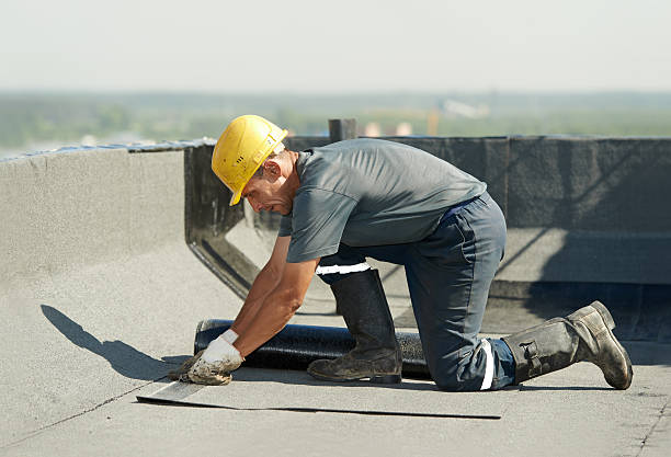 Best Insulation Contractor Near Me  in Clinton, NC