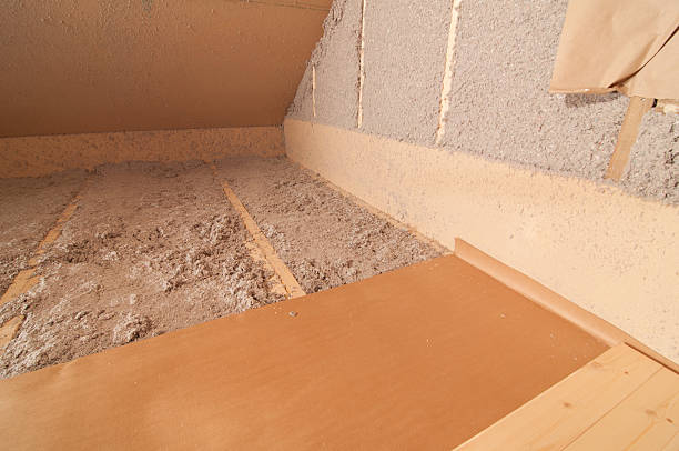 Best Insulation Removal  in Clinton, NC